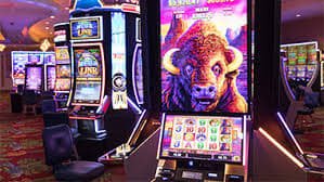 vg88 sportsbook bóng đá